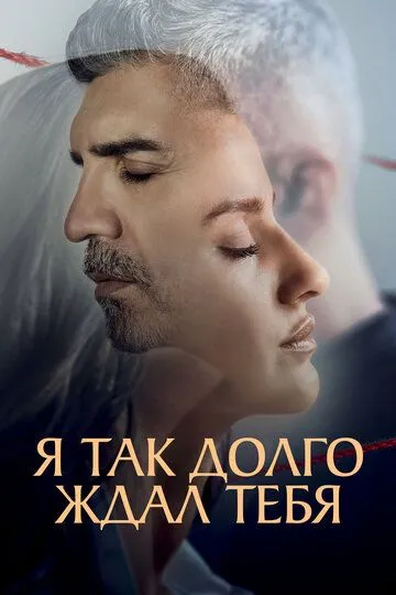 Я так долго ждал тебя (2022)