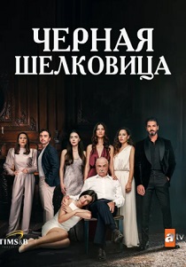 Чёрная шелковица (2024-2025)