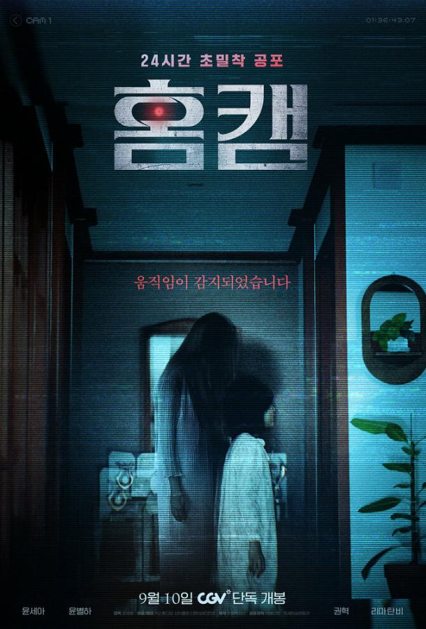 Домашняя камера (2025)